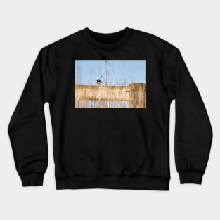 Attention Crewneck Sweatshirt